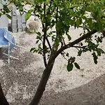 Le Pommier Appartement